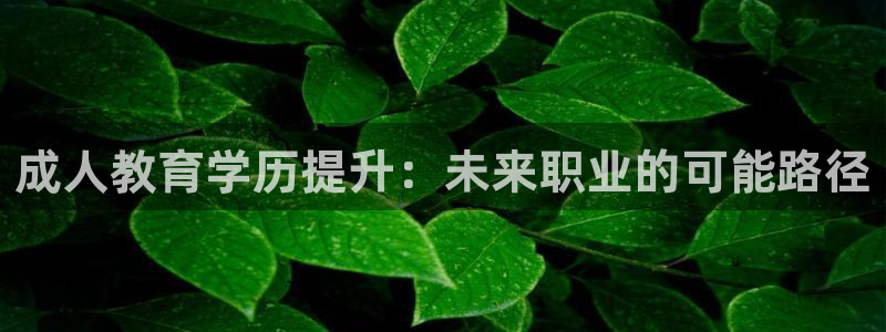 新宝5户端