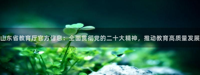 新宝5手机app