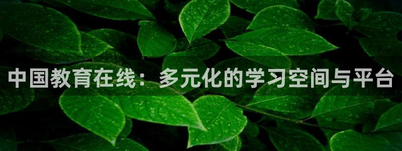 新宝5登陆