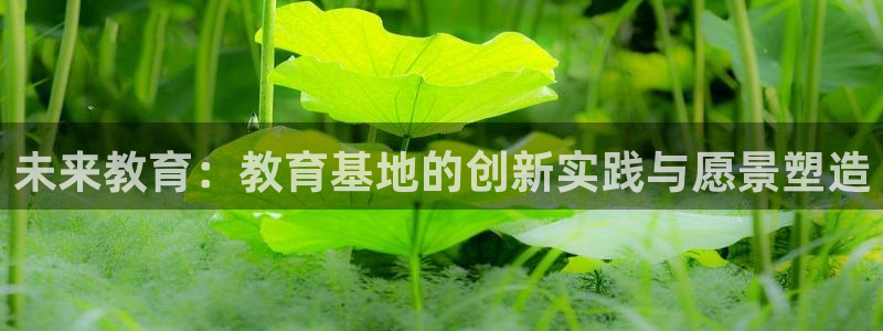 新宝股东瞧听2 5 5