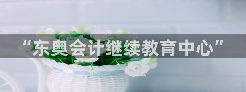 新宝5安卓版