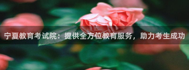 新宝5下载 迅雷下载