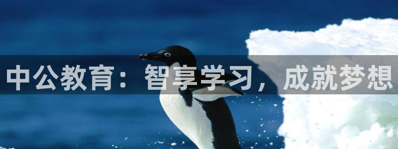 新宝5官网67五壹叁八