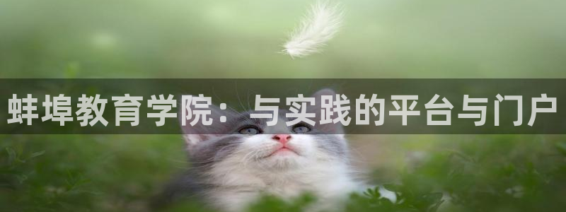 新宝5手机登陆