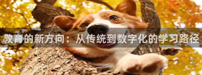 新宝5电脑