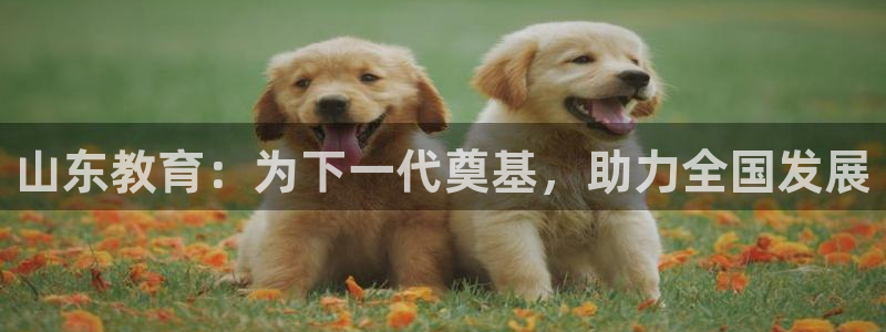 新宝5日