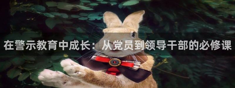 新宝堂新会陈皮5年