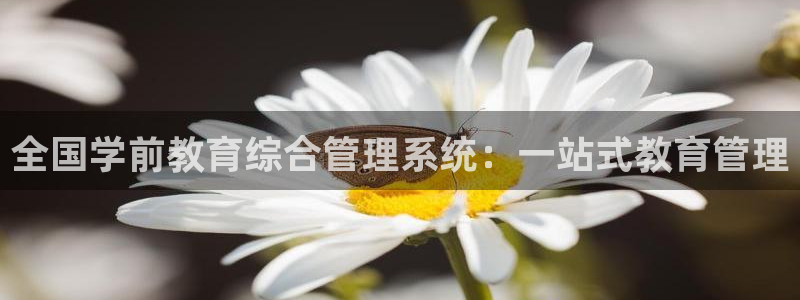 新宝5下载