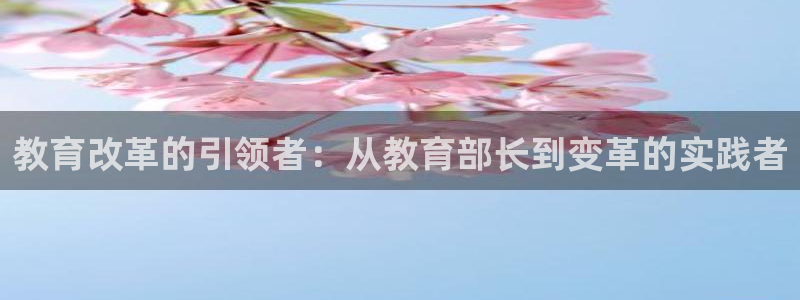 新宝5系列