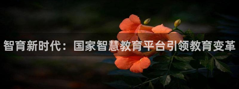 新宝5测速登陆