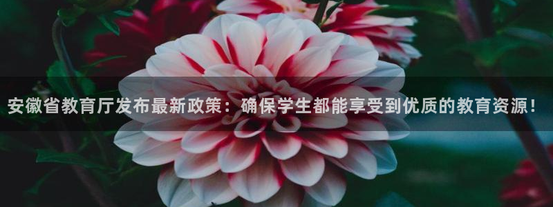 新宝5策略