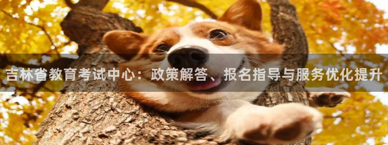 新宝5下载软件