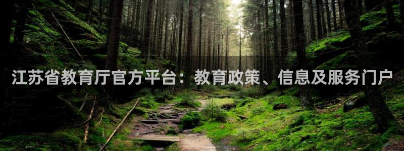 新宝5测速在线