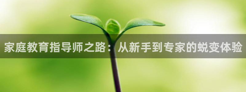 新宝5官网