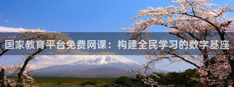 新宝股东张听2 5 5