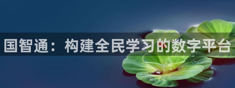 新宝5现在还能玩吗
