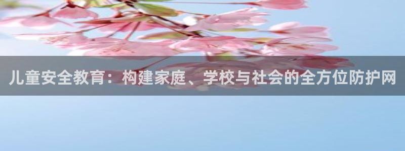 新宝5天