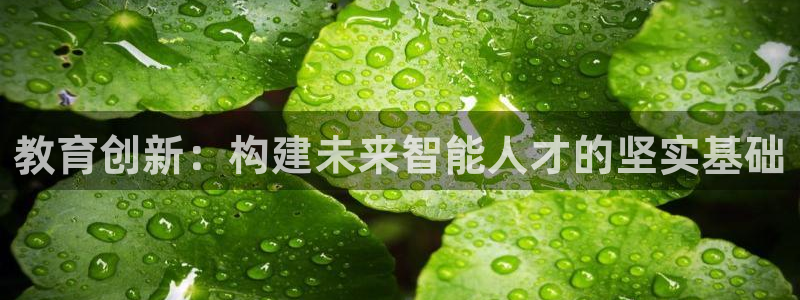 新宝5下载测试
