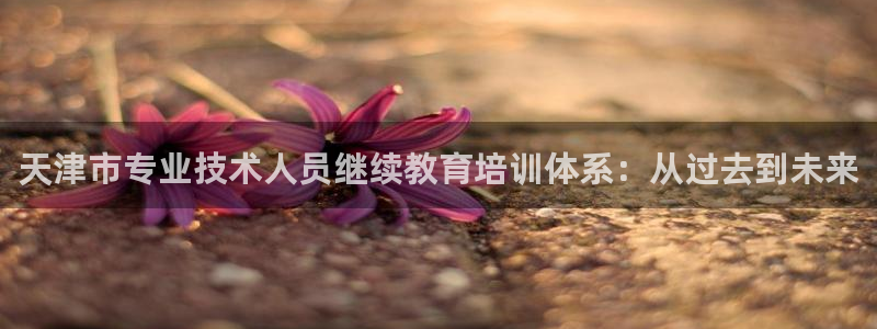 新宝股东王听2 5 5