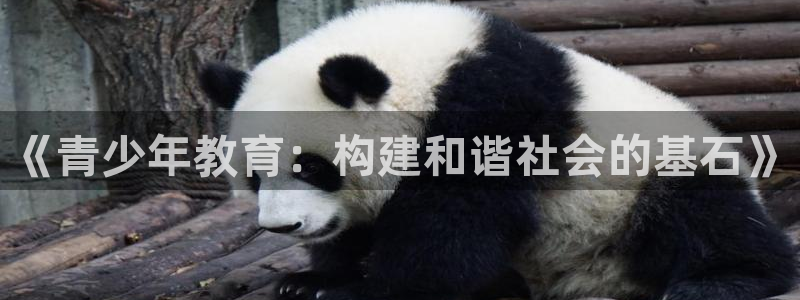 新宝5什么时候上市