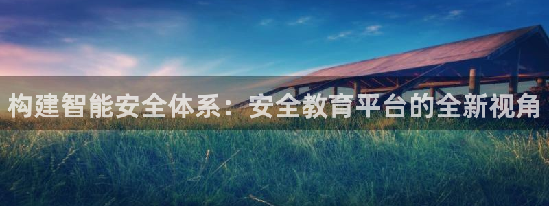 菲律宾新宝5老板