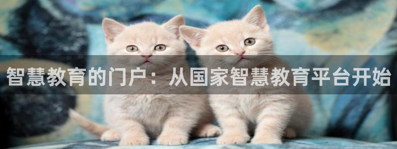 新宝5 - 测速登陆