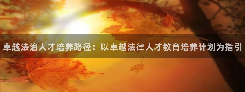 新宝5app手机下载