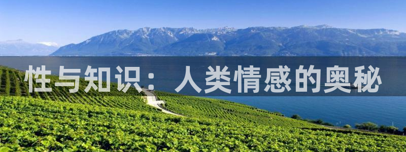 新宝5是什么样子的