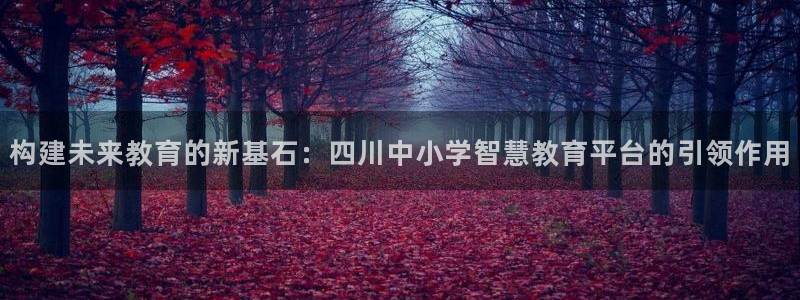 菲律宾新宝5老板