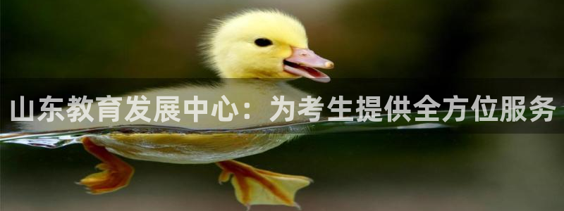 新宝5是什么样子的