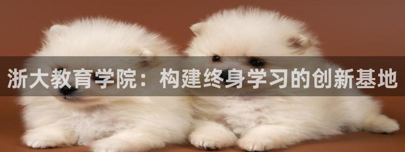 新宝5现在还能玩吗