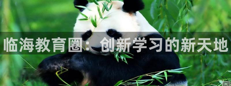 新宝5什么时候上市